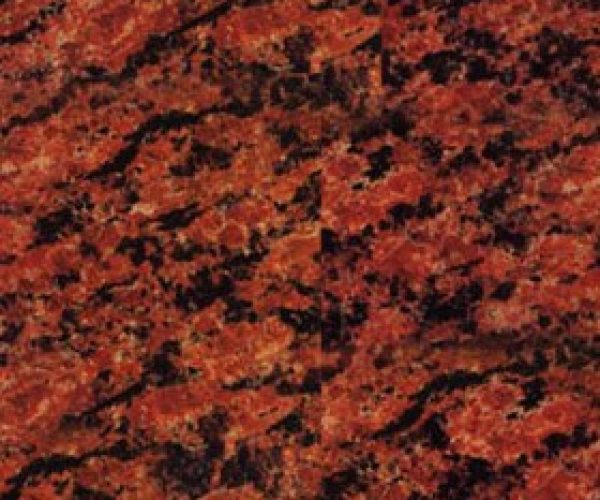 vanga_red